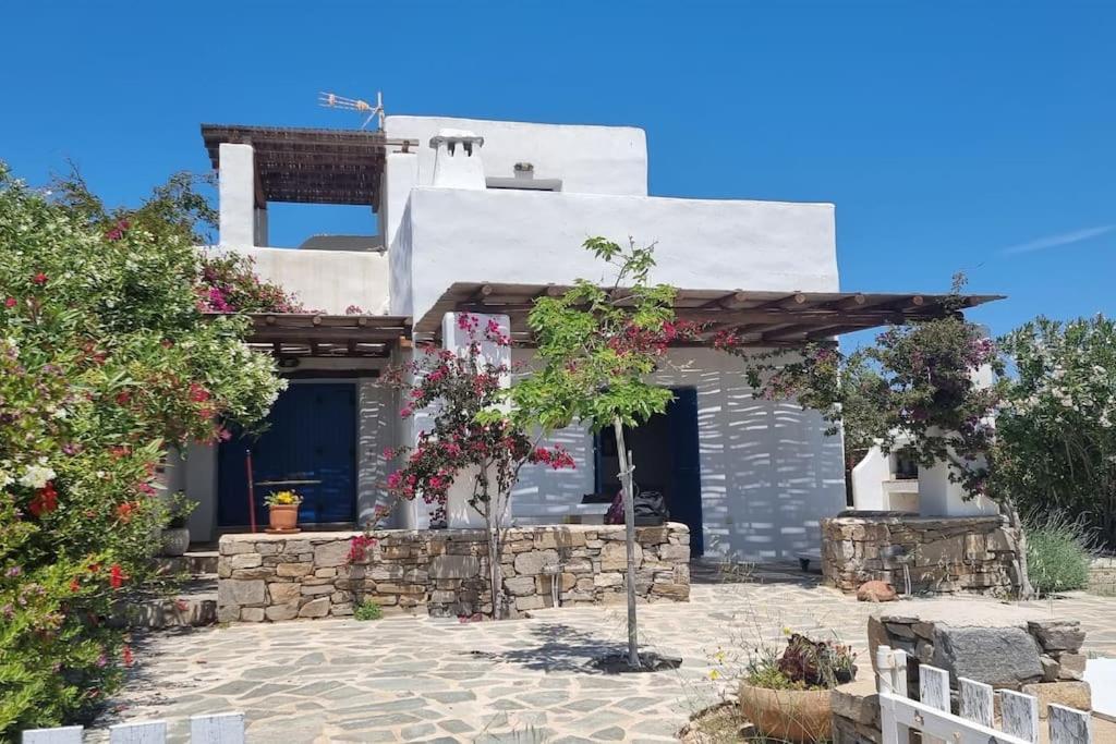 Villa Kalliopi Ambelas Paros Exterior photo