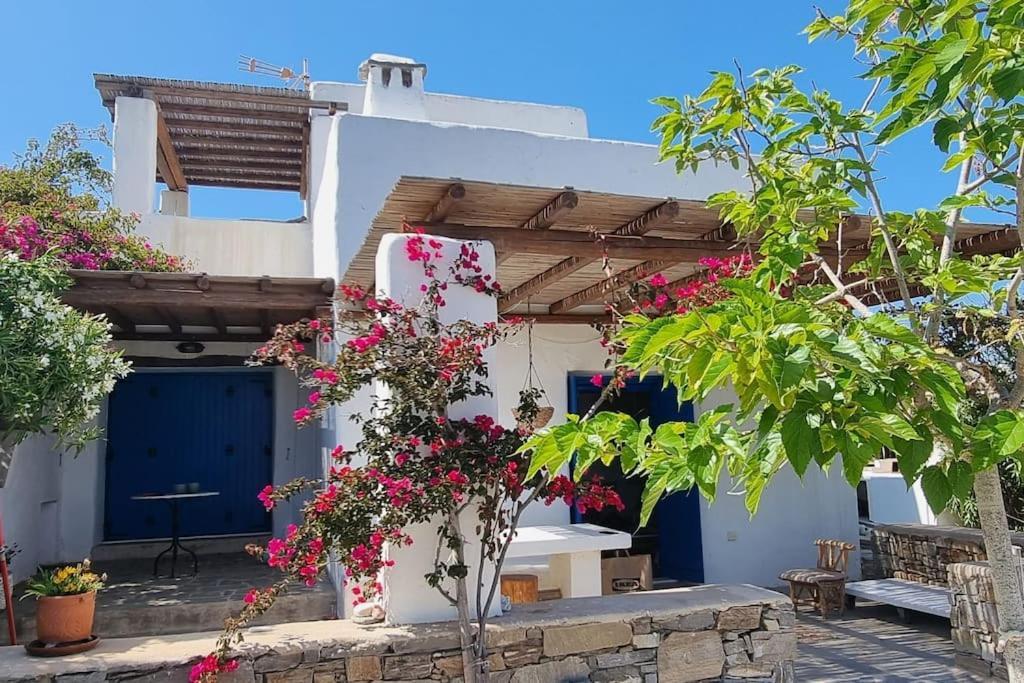 Villa Kalliopi Ambelas Paros Exterior photo